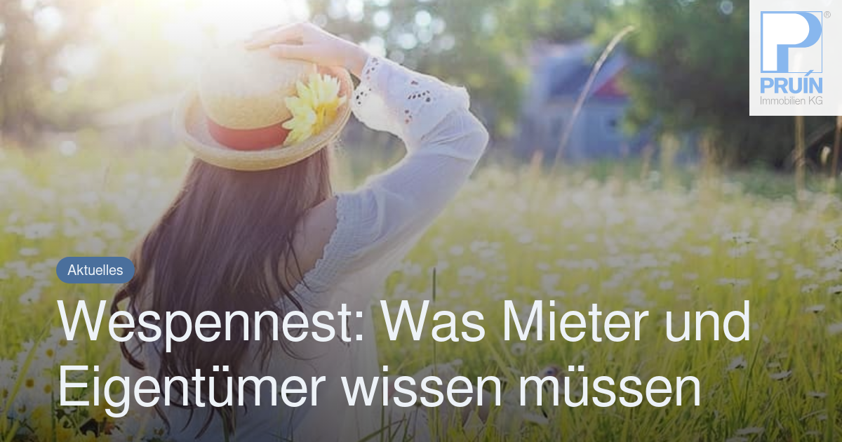 Wespennest Was Mieter und Eigentümer wissen müssen PRUIN KG