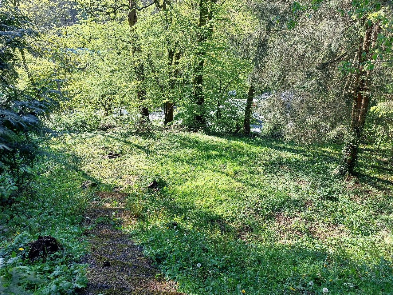 Das Baugrundstück mit Südausrichtung